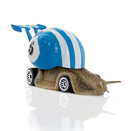 snails_pace.jpg