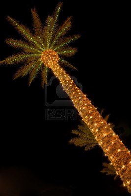 palmera-y-las-luces-de-navidad.jpg